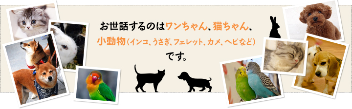 お世話するのはワンちゃん、猫ちゃん、小動物（インコ、うさぎ、フェレット、カメ、ヘビなど）です。