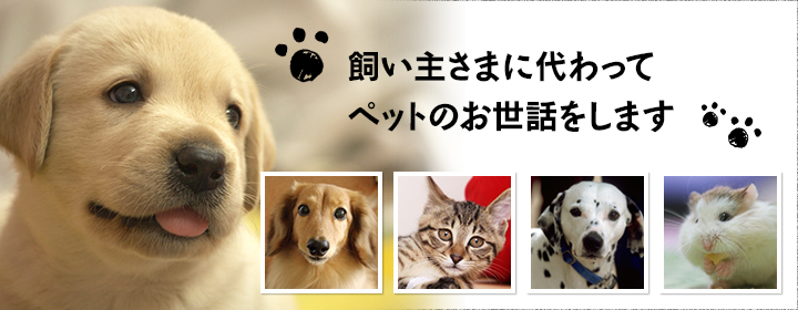 信頼関係を大切に飼い主さまに代わってペットのお世話をします