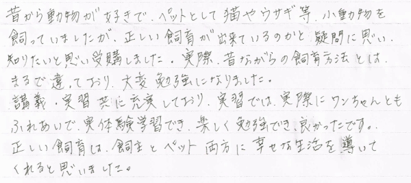 手書きのコメント画像
