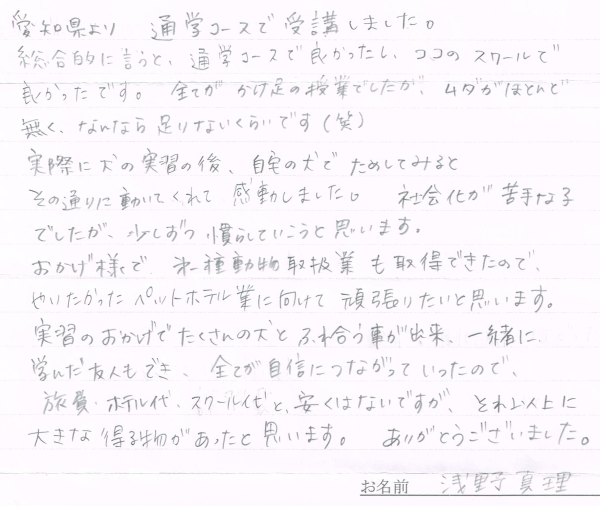 手書きのコメント画像