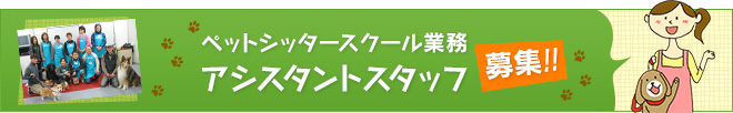 ybgVb^[XN[ƖAVX^gX^btiAoCgEp[gjW